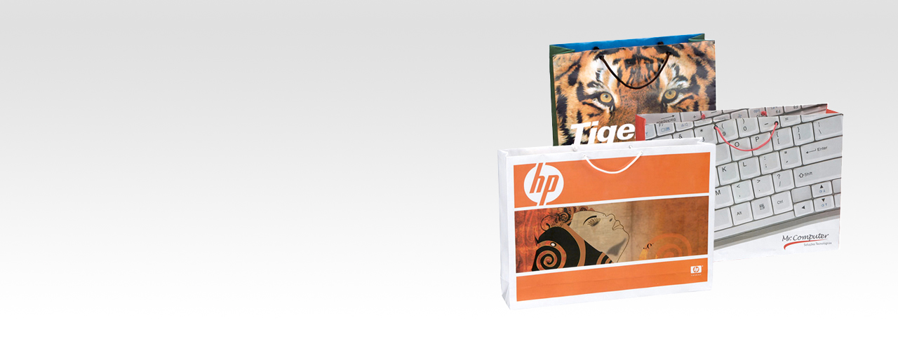 WordPress themes